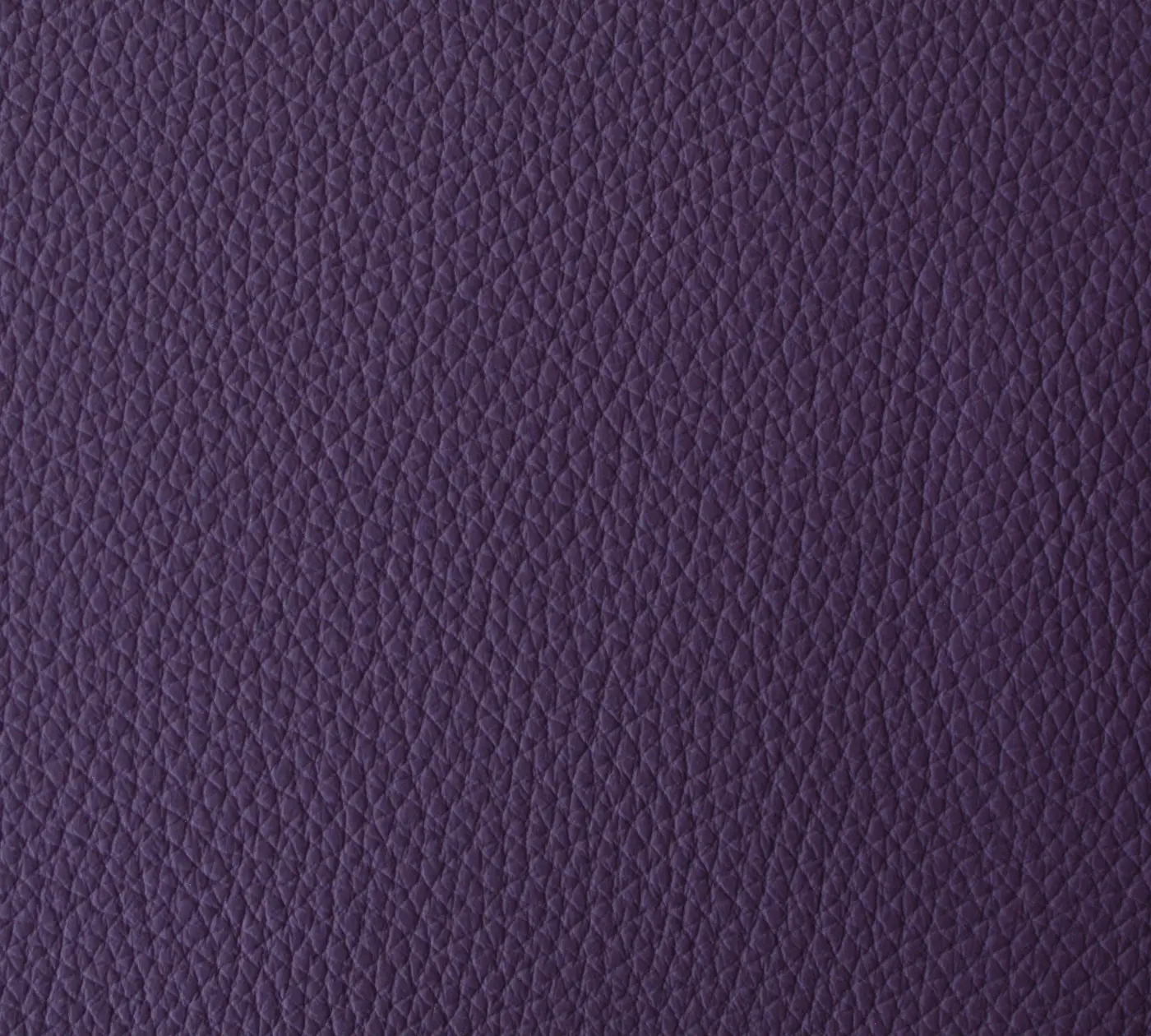 AUBERGINE